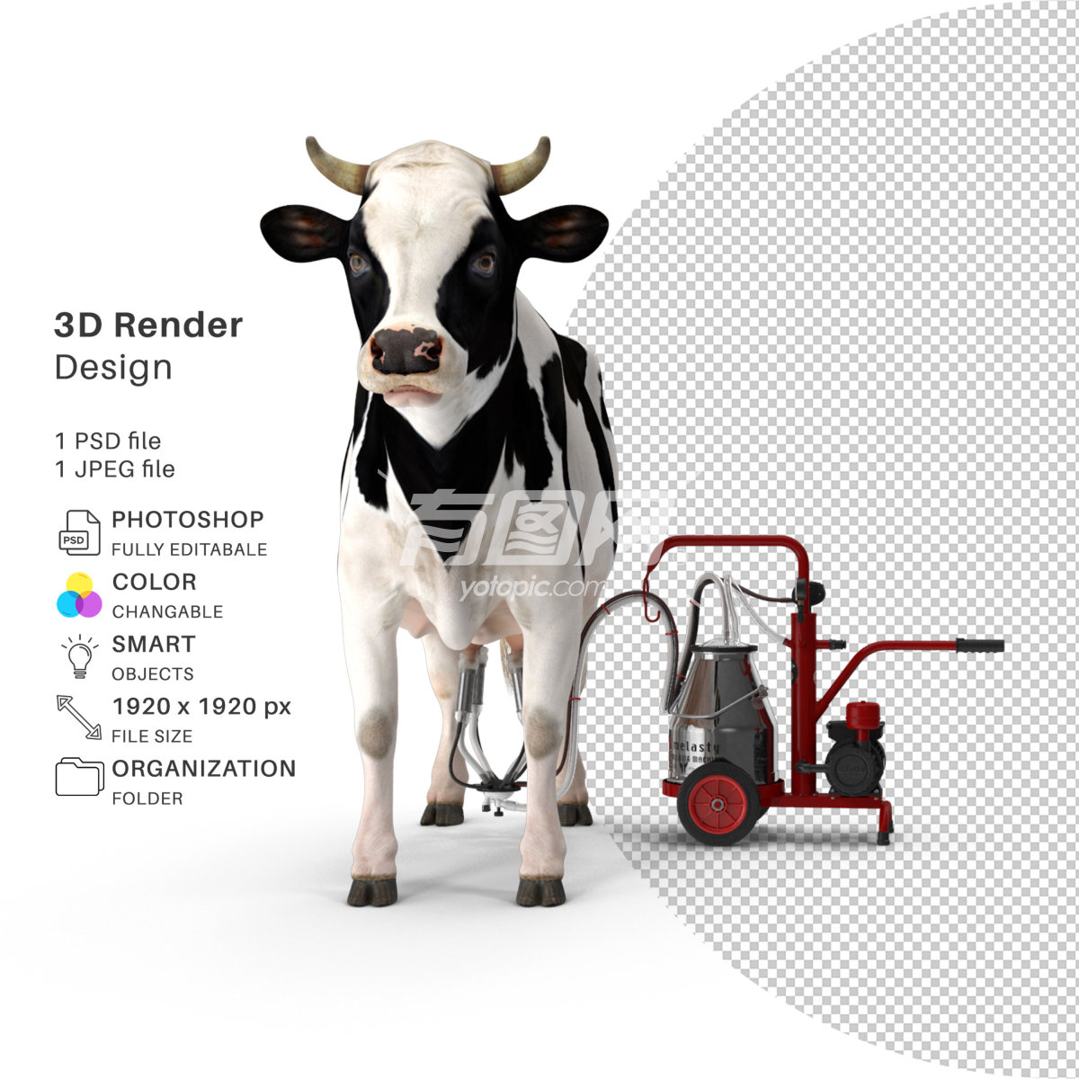 3D渲染的奶牛模型