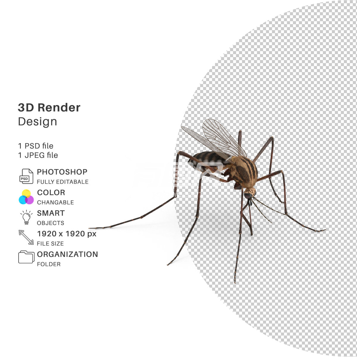 3D渲染的蚊子模型