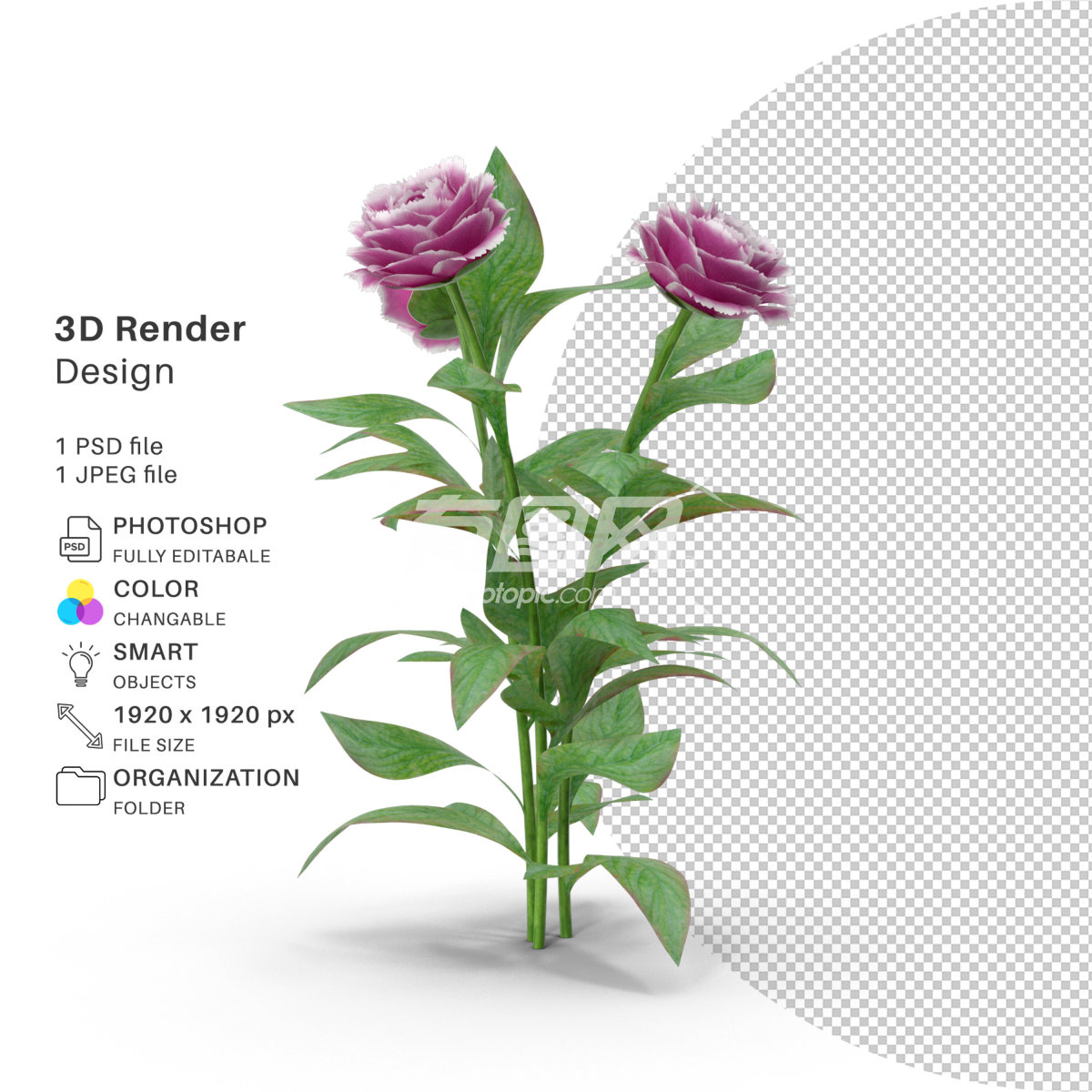 3D渲染的插花设计