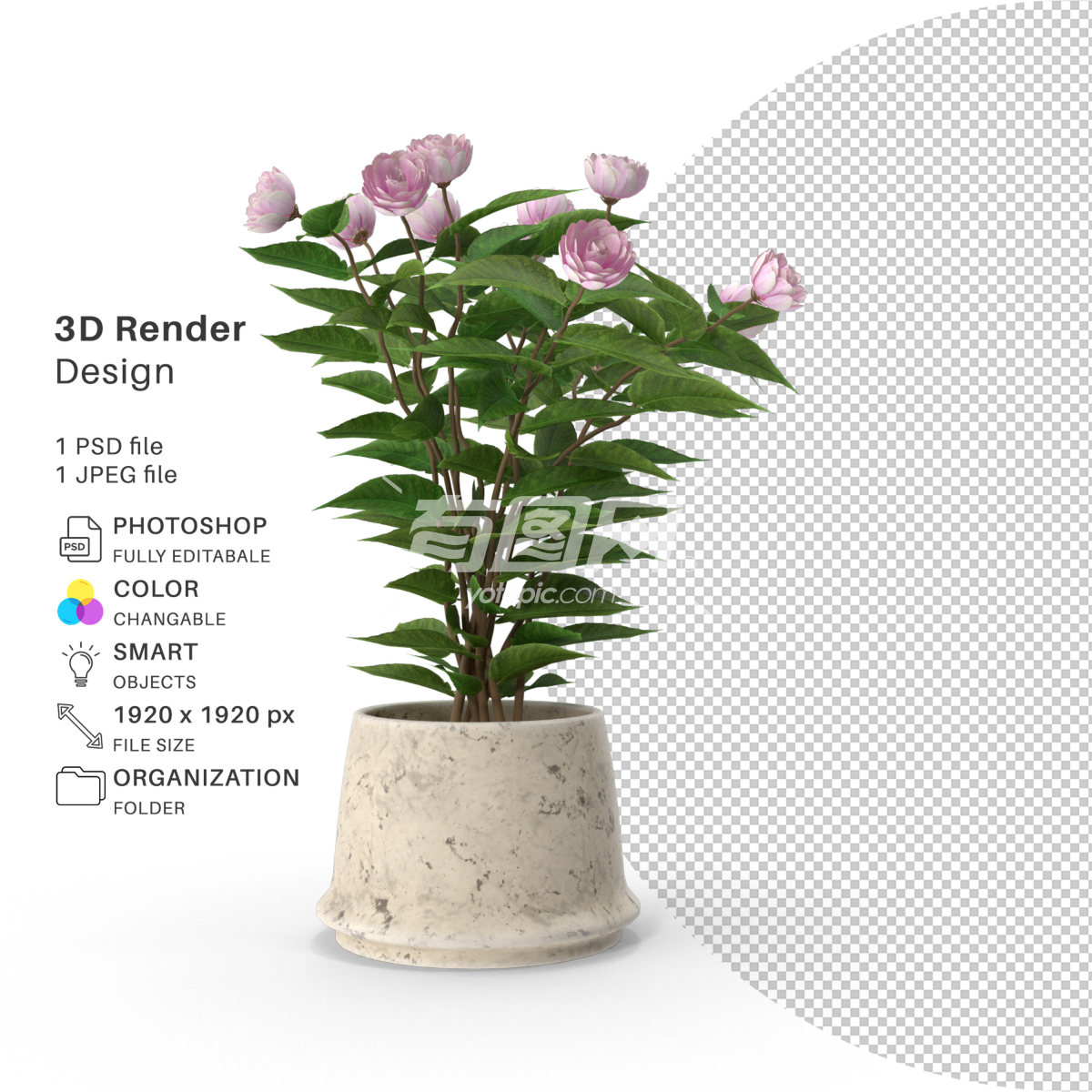 3D渲染的插花设计