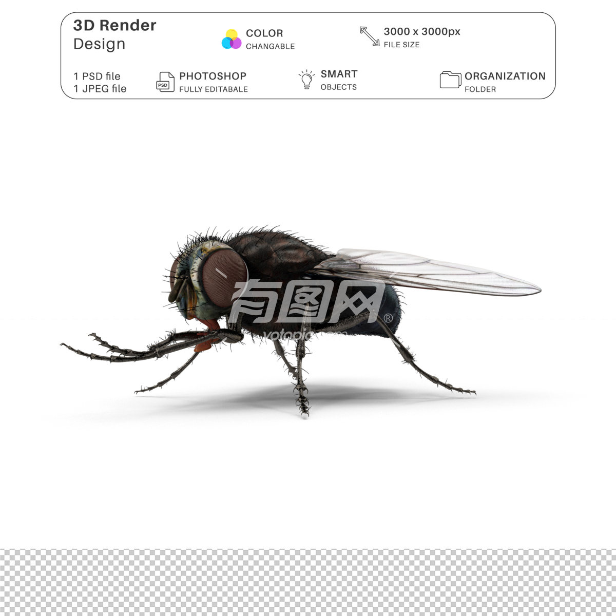 3D渲染的苍蝇