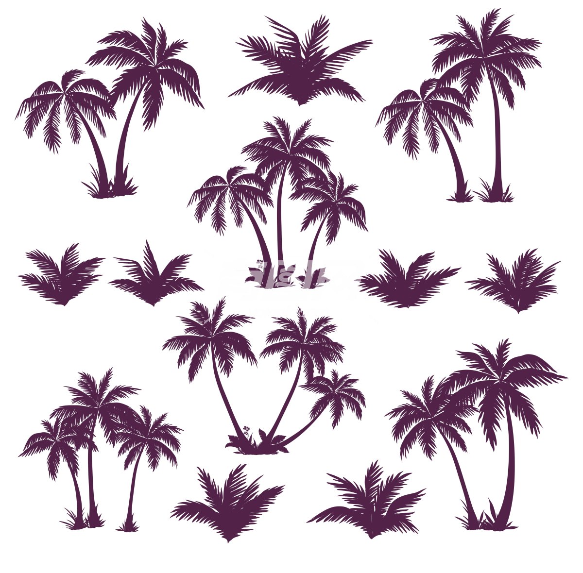 各种棕榈树剪影的图片