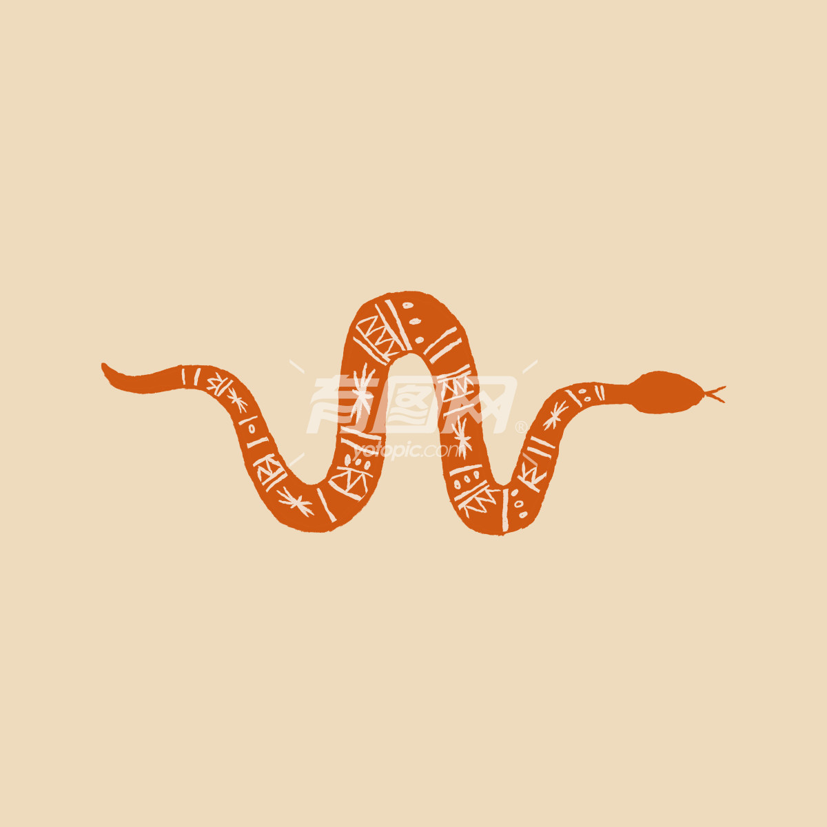 橙色的蛇插画