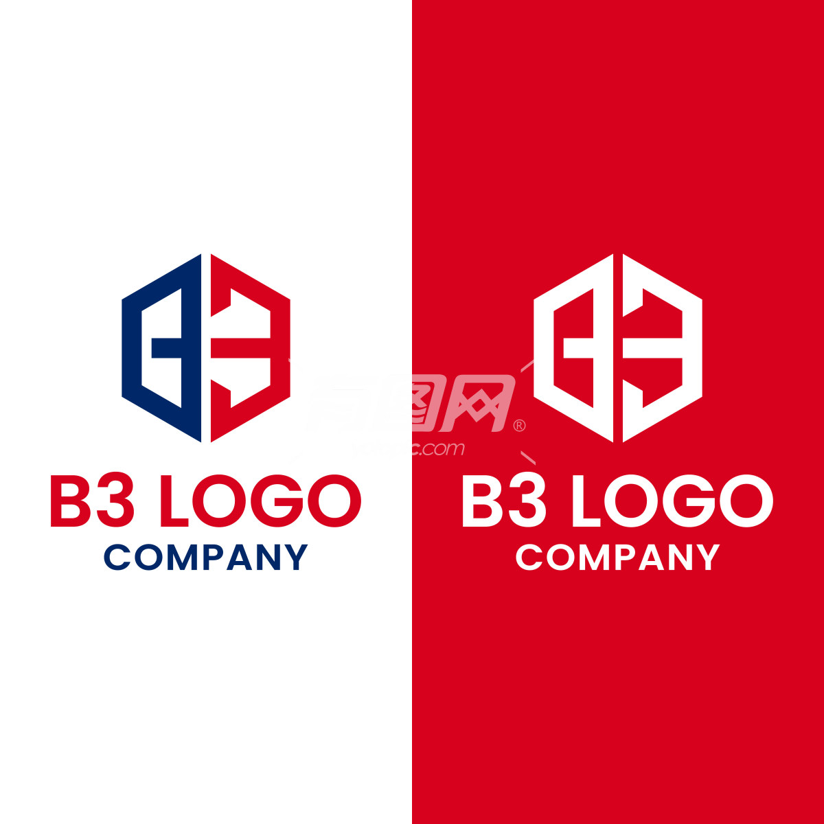 B3 Logo Company公司品牌设计