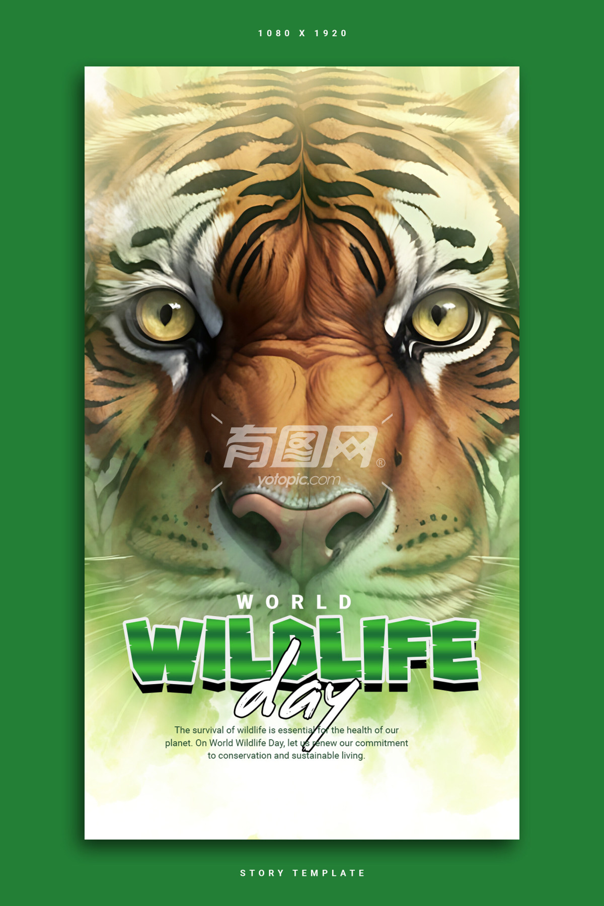 宣传野生动物保护的海报