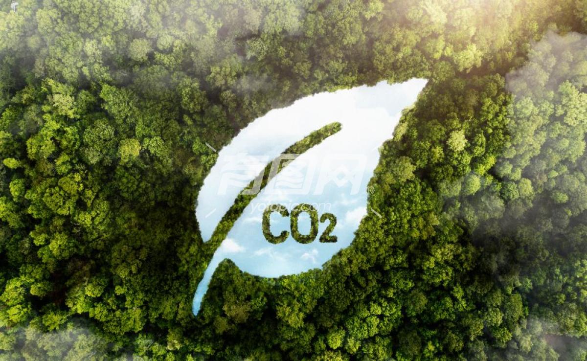 二氧化碳信息图