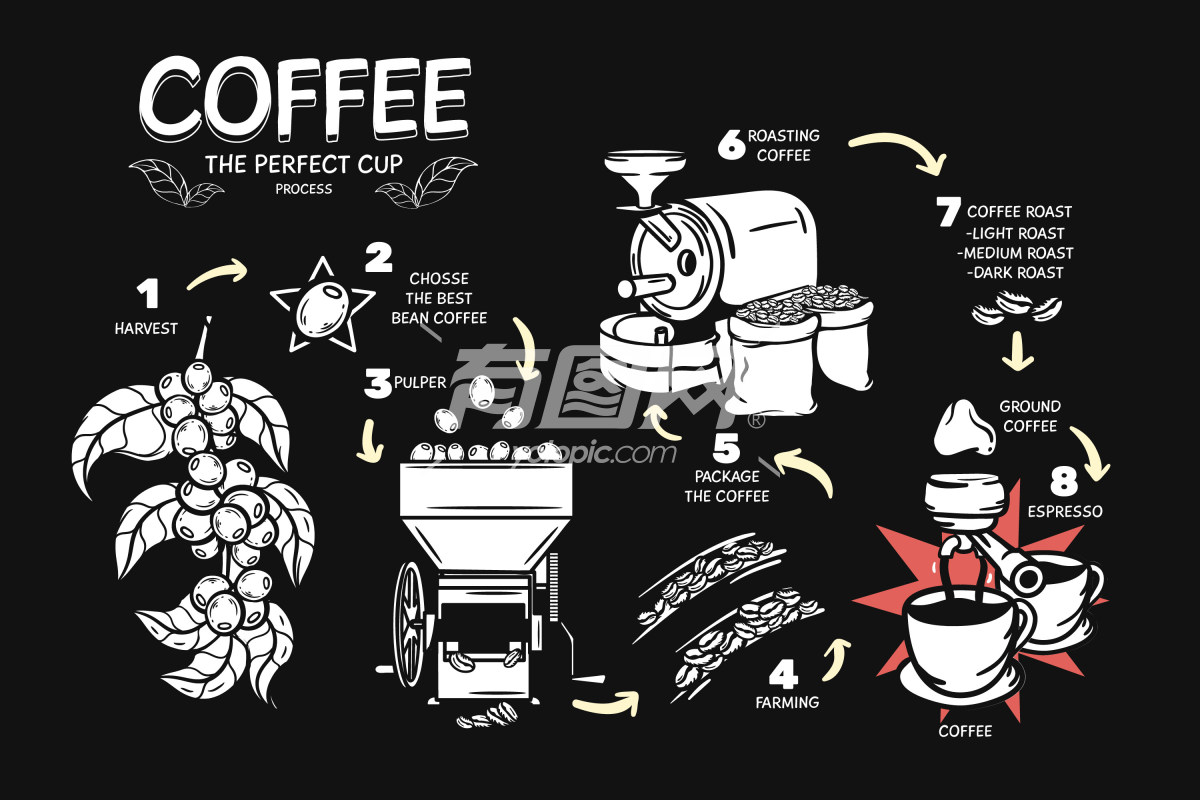 咖啡制作过程的插图