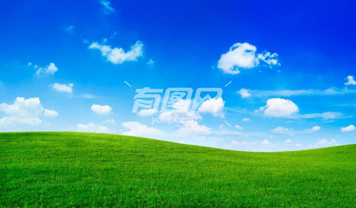 蓝天白云下的绿草地
