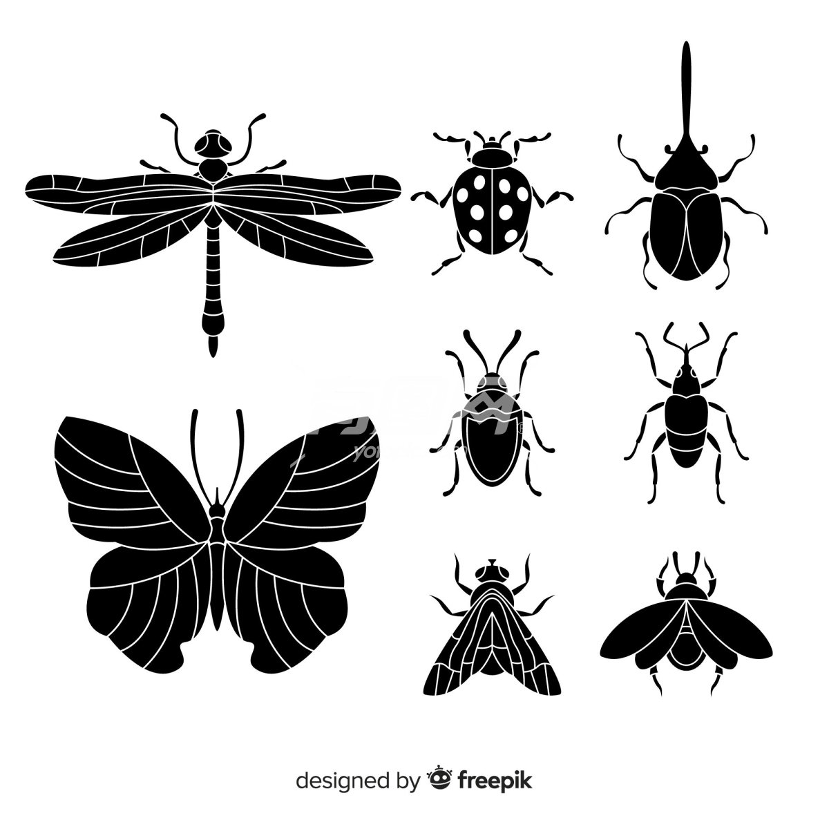 昆虫的黑白插图