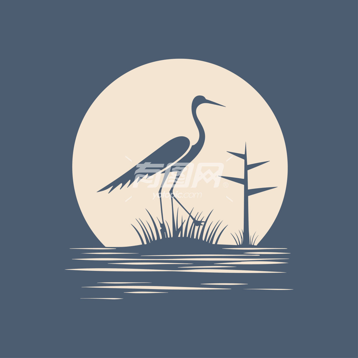 湿地鸟