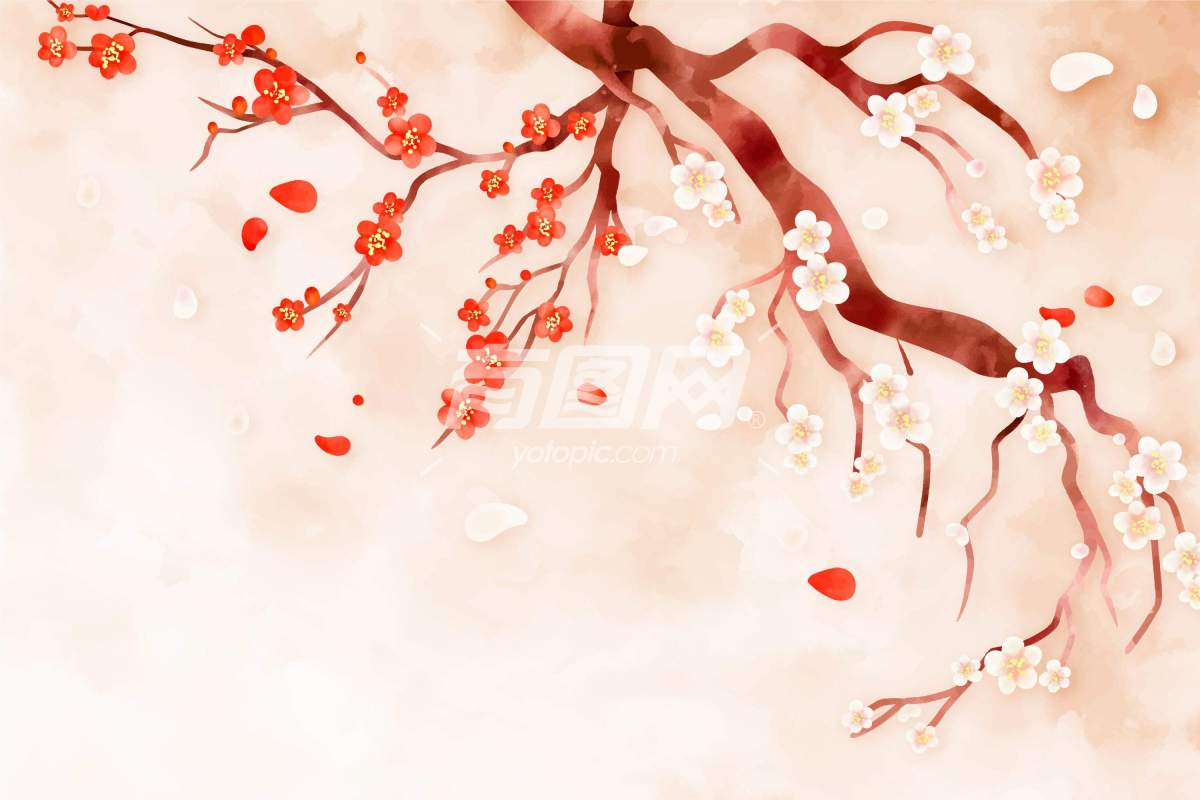 樱花树的插画