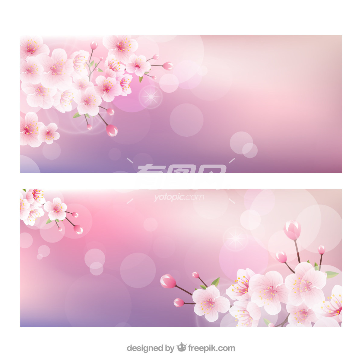 粉色樱花横幅设计