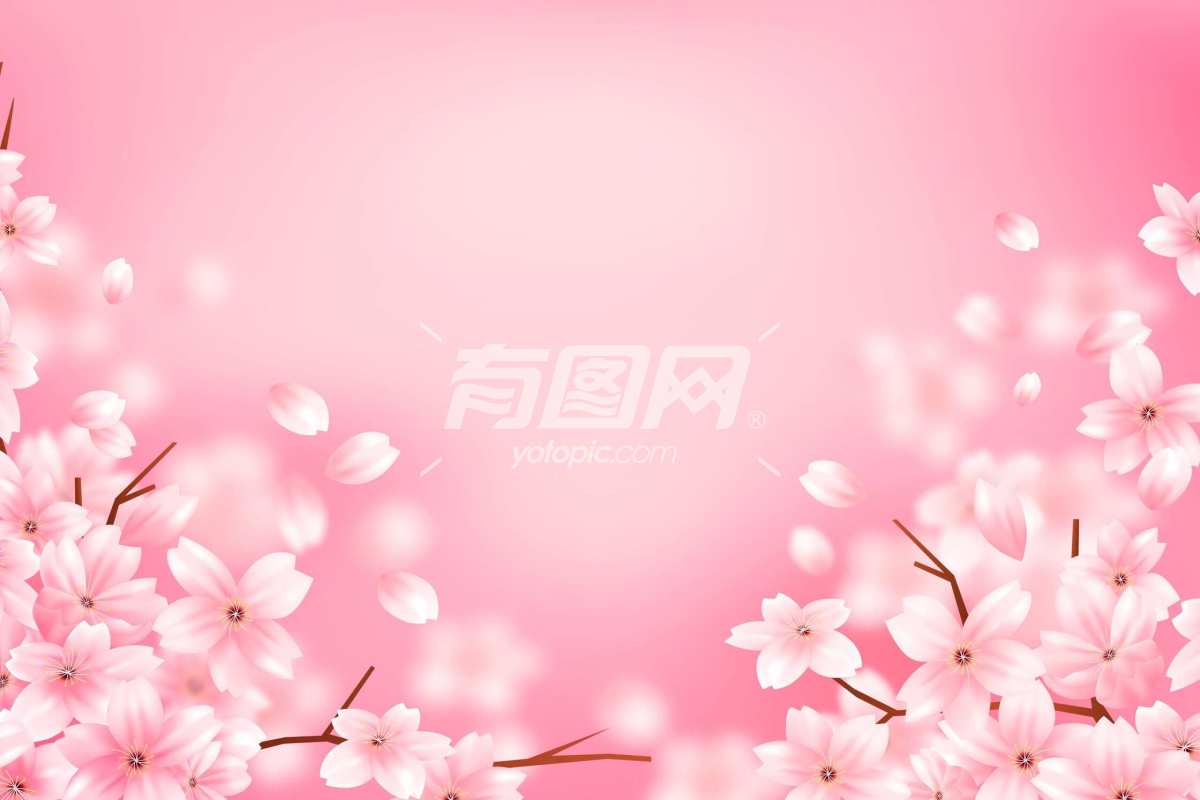 粉色樱花背景