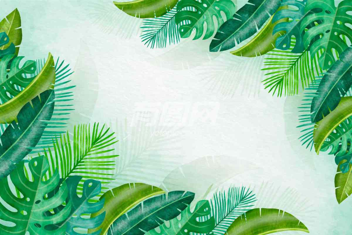热带植物主题插画