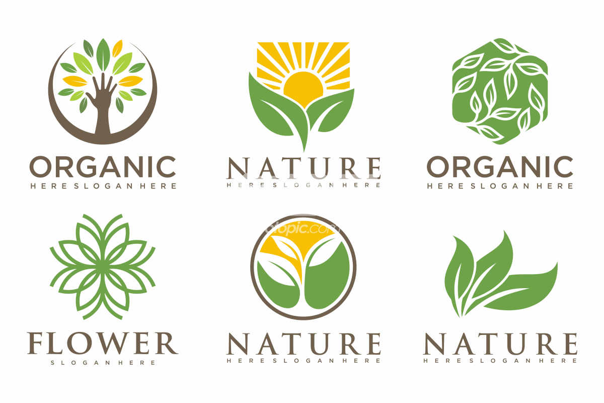 自然与有机主题标志设计