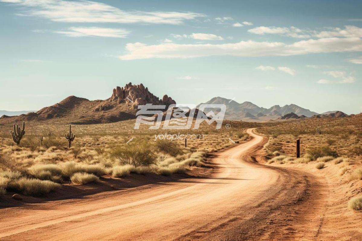 穿越沙漠的道路