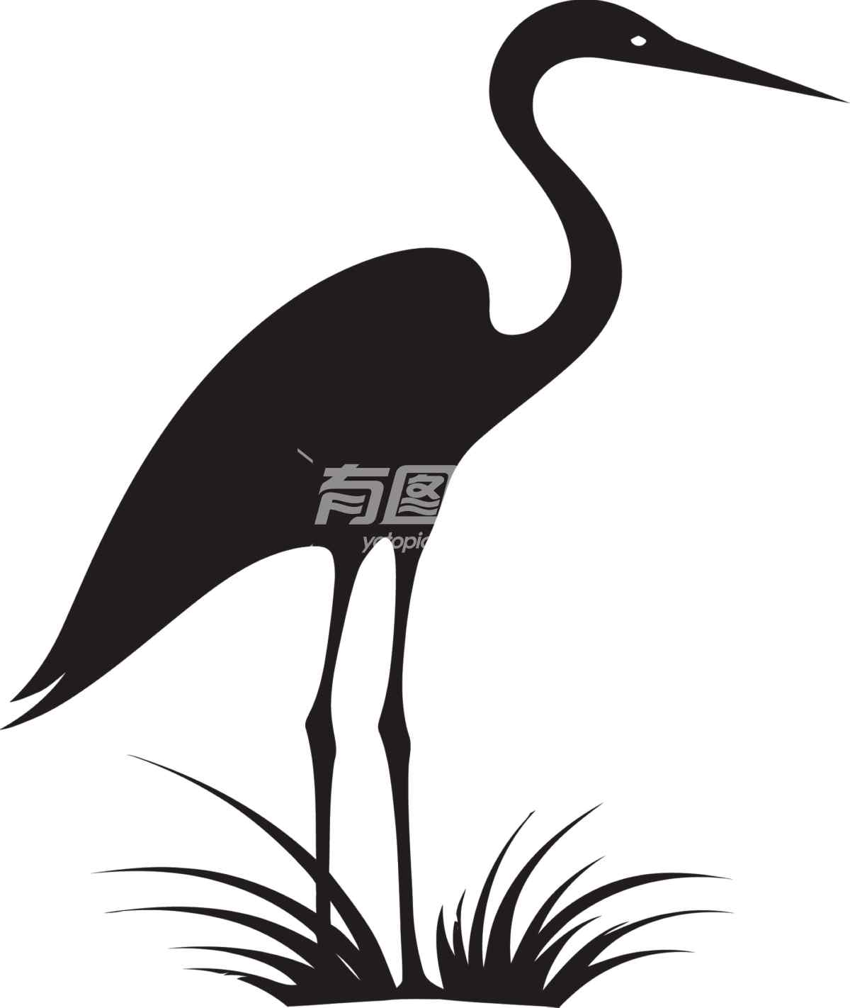 黑色剪影风格的白鹭插图