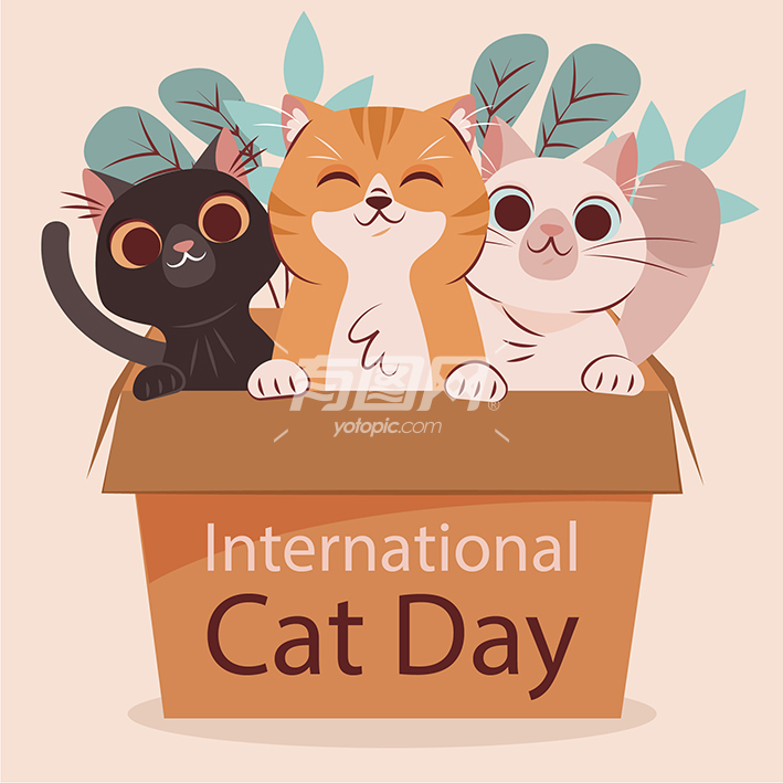国际猫日