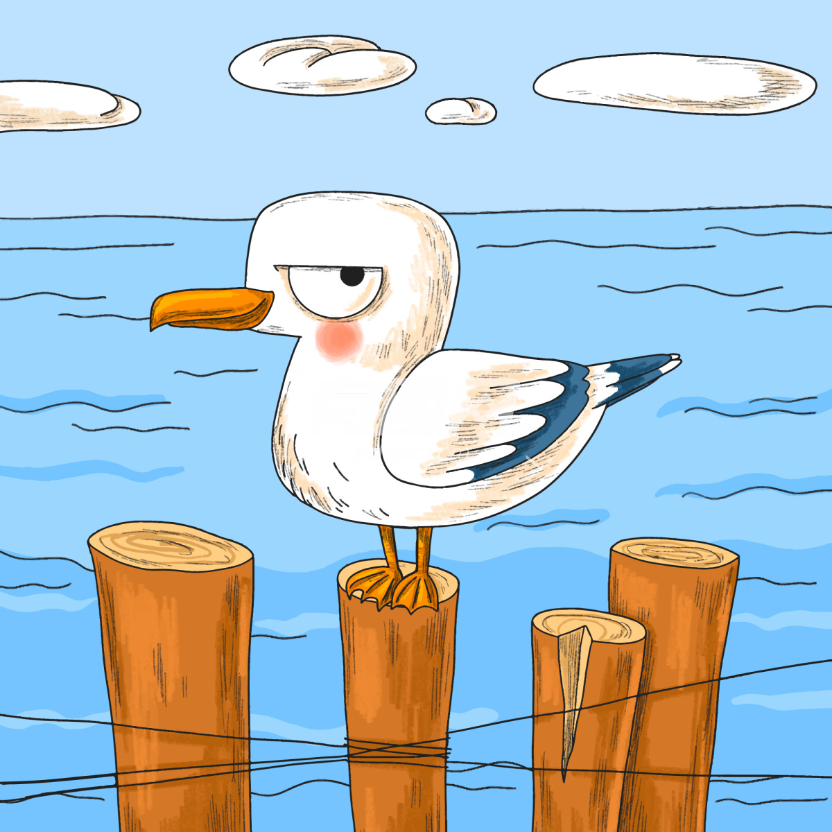 海鸥插画