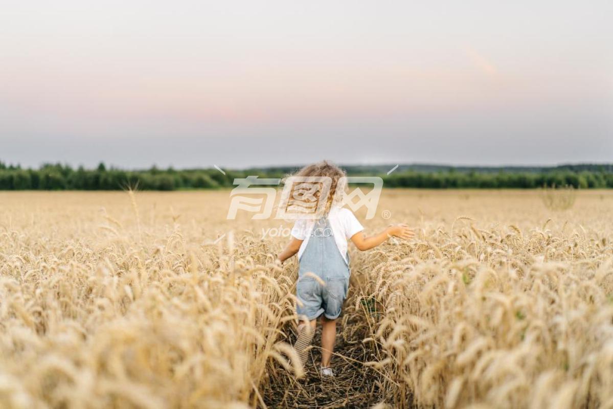 在小麦田中奔跑的孩子