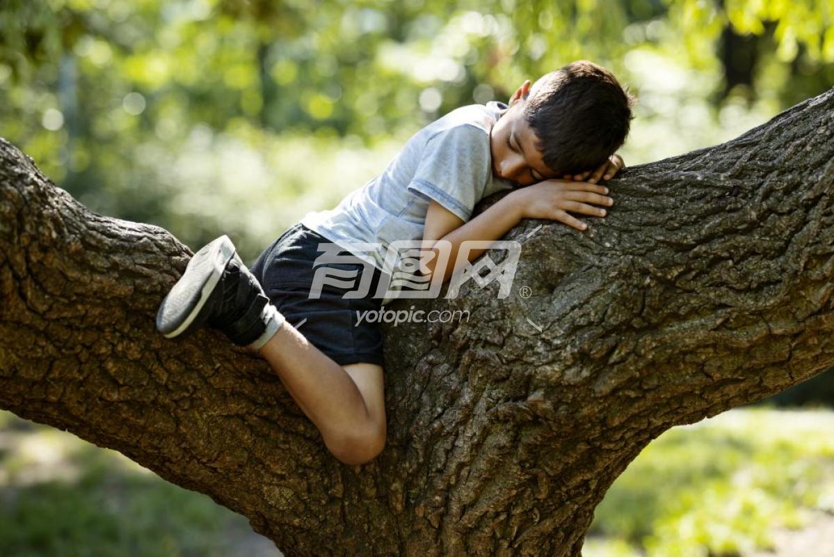男孩在公园的树上