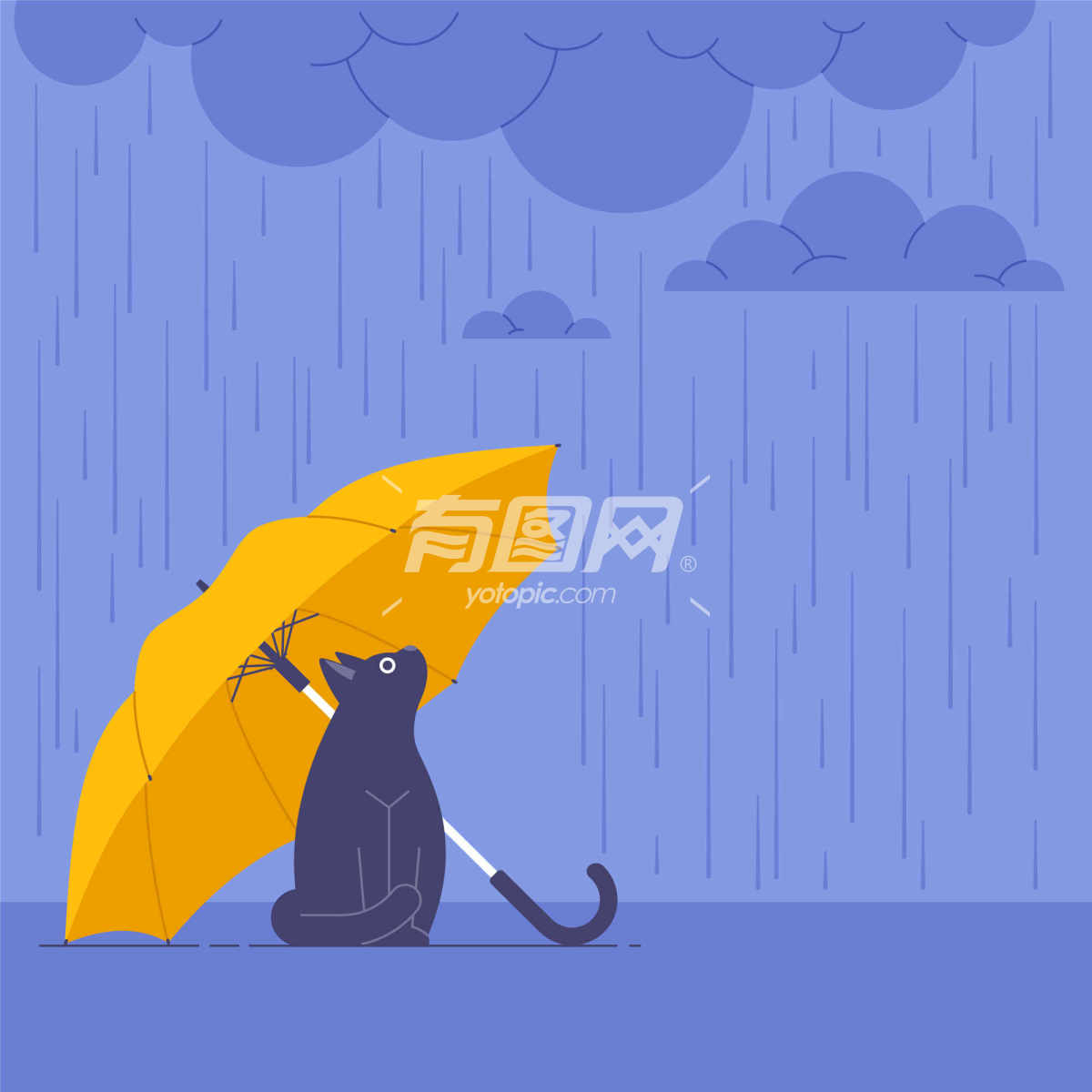 雨中独行的忧郁之猫