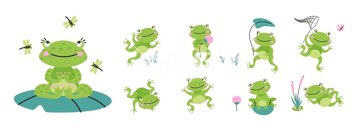青蛙插画