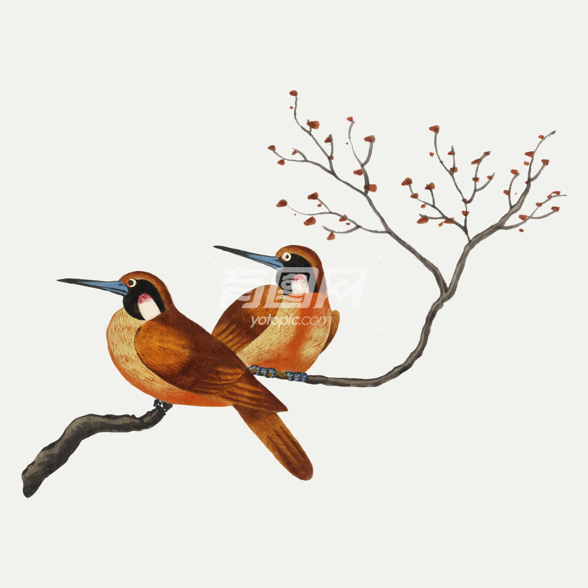 棕橙双鸟栖枝图