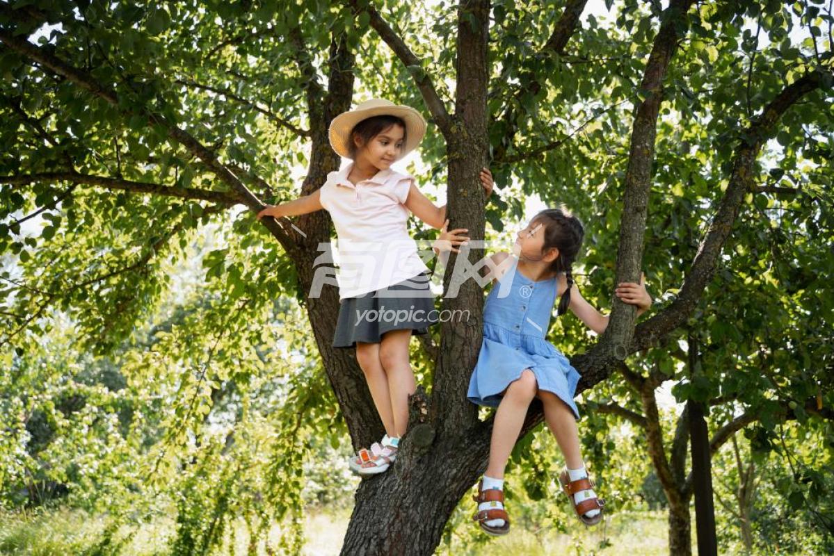 小女孩在树上玩耍