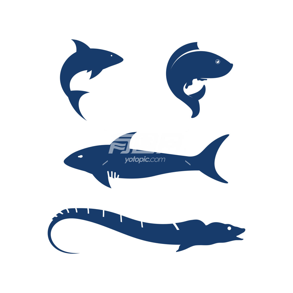 鱼类标志水生动物标志