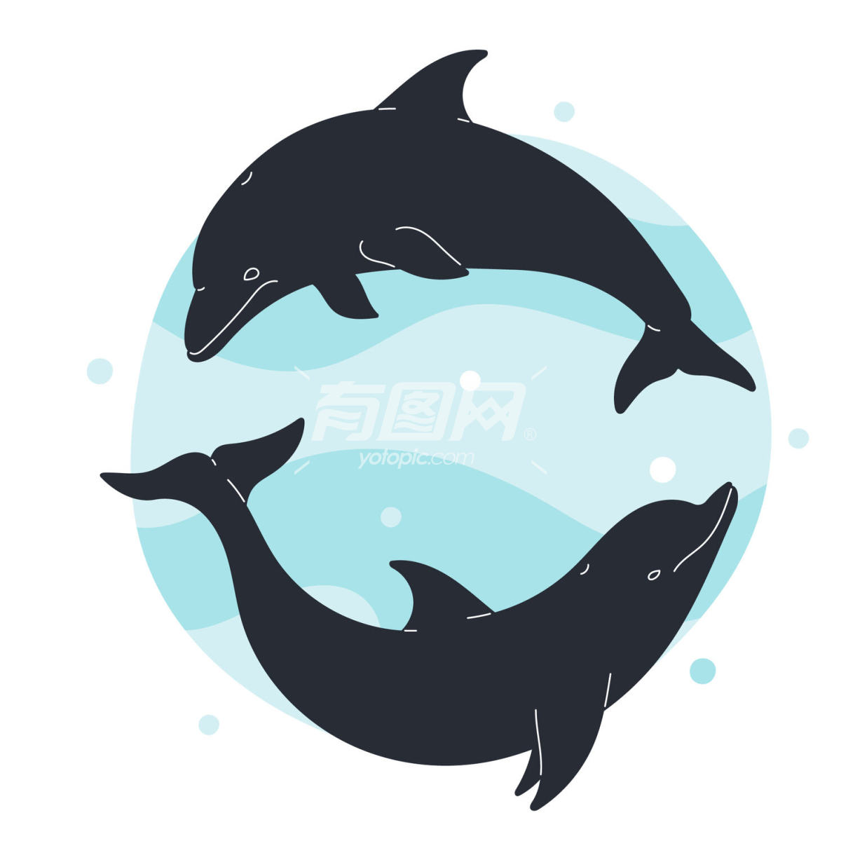 手绘海豚剪影插图