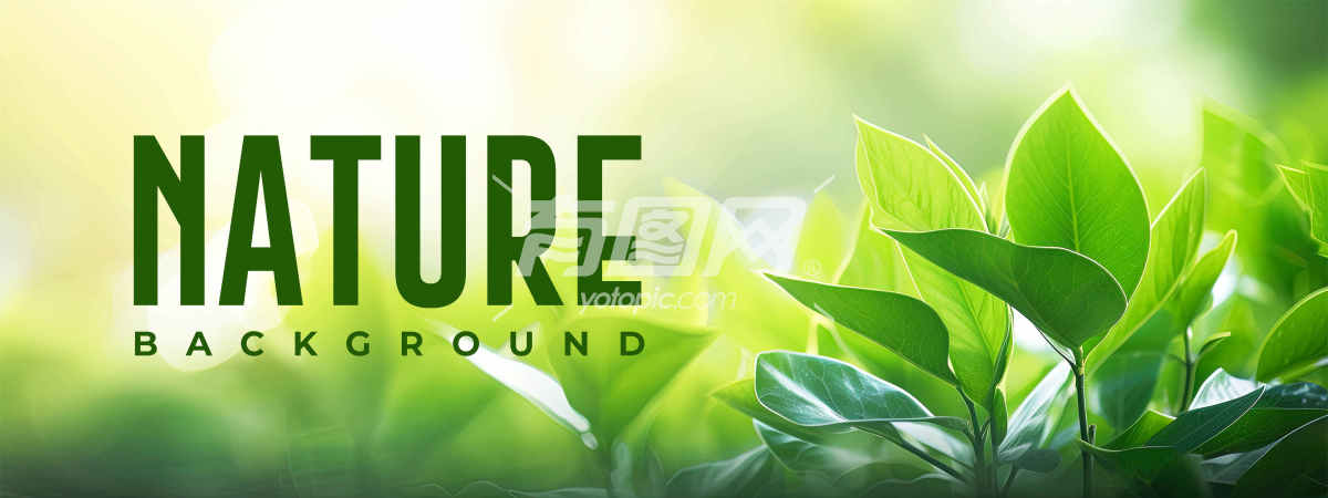 自然绿色植物生态banner背景