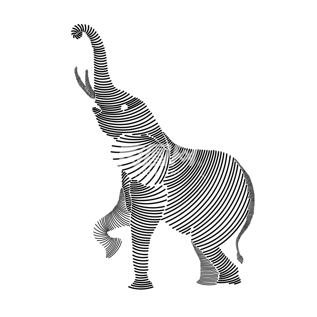 大象简单艺术线条插画