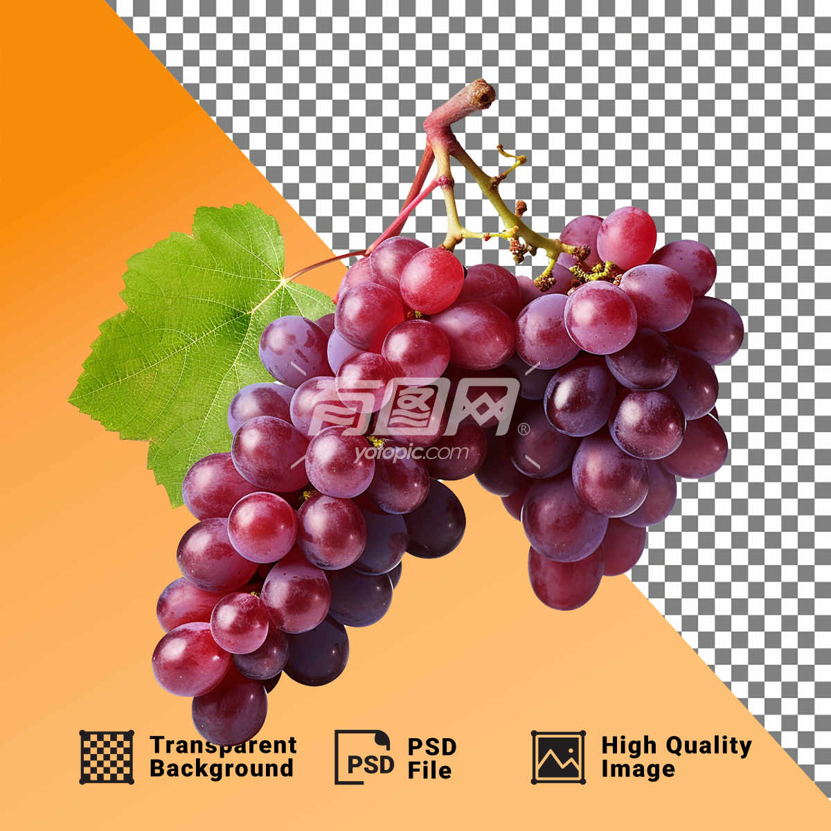PSD新鲜葡萄