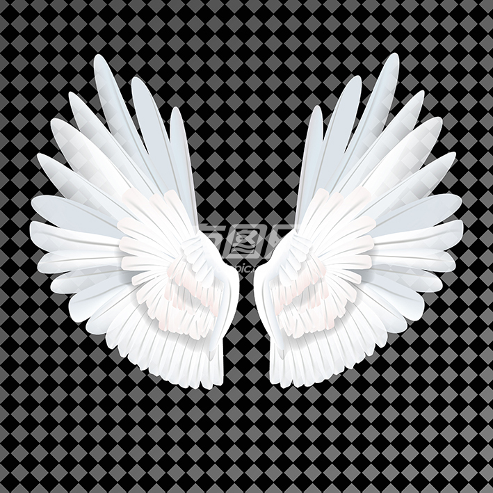 天使羽翼