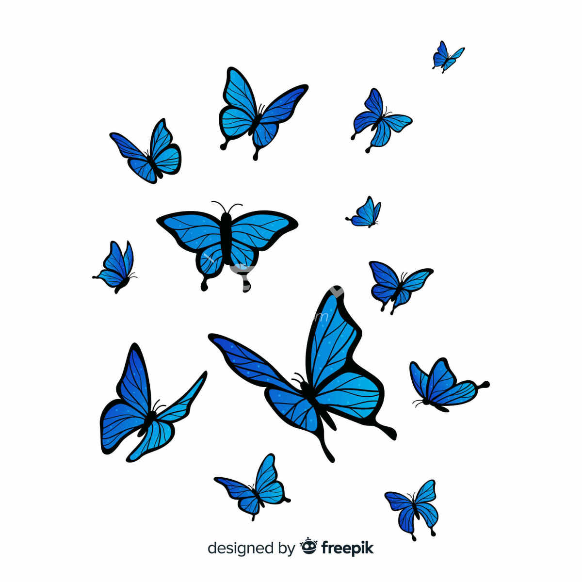 蓝色蝴蝶的插画