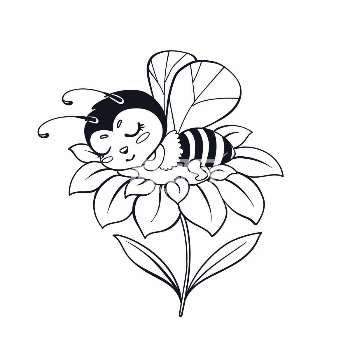 黑白蜜蜂手绘图