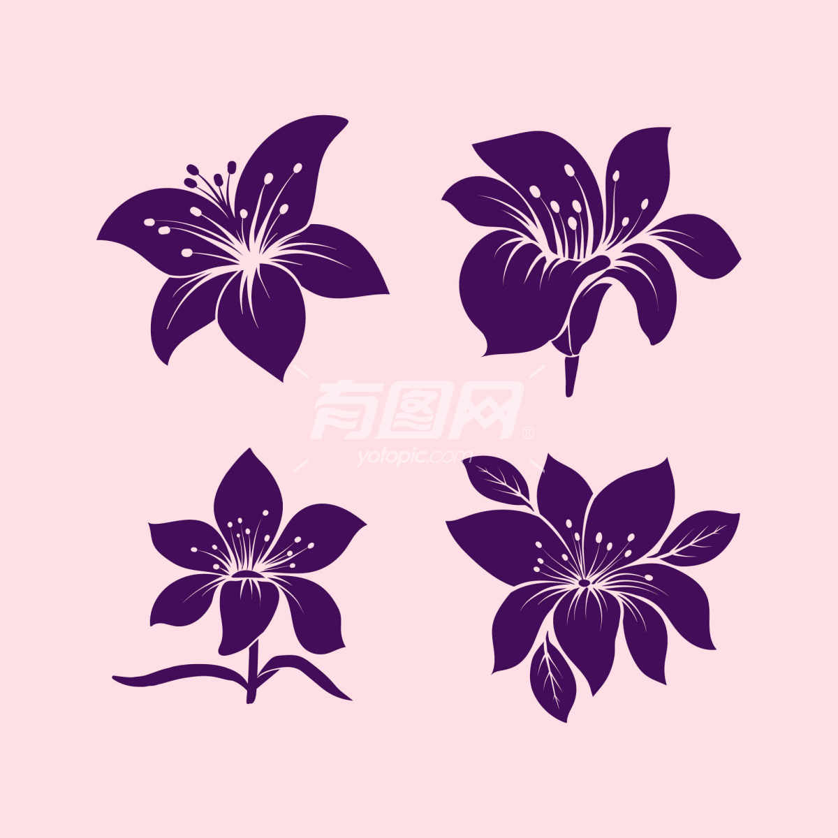四朵紫色的花朵