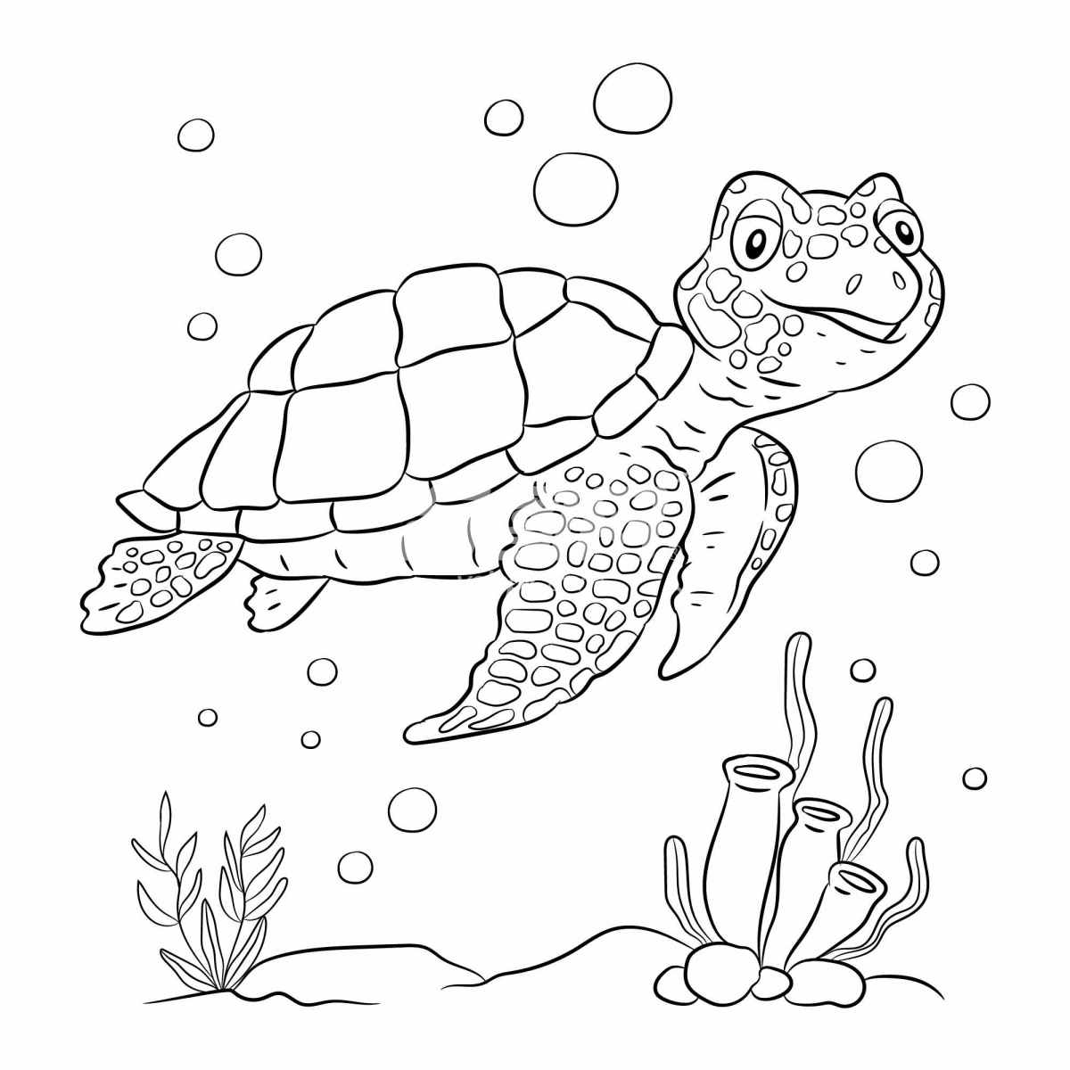 黑白线条画的海龟插画
