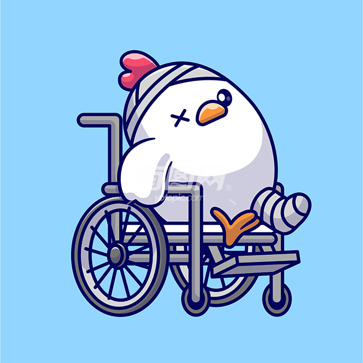 坐轮椅的小鸡