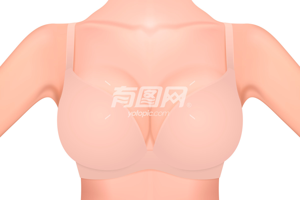 展示女性胸部的插图