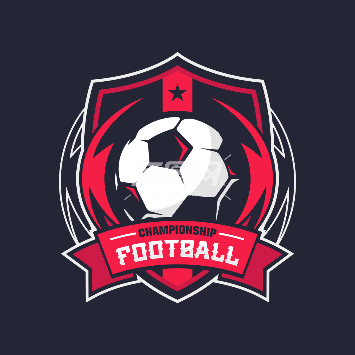 足球比赛的徽章
