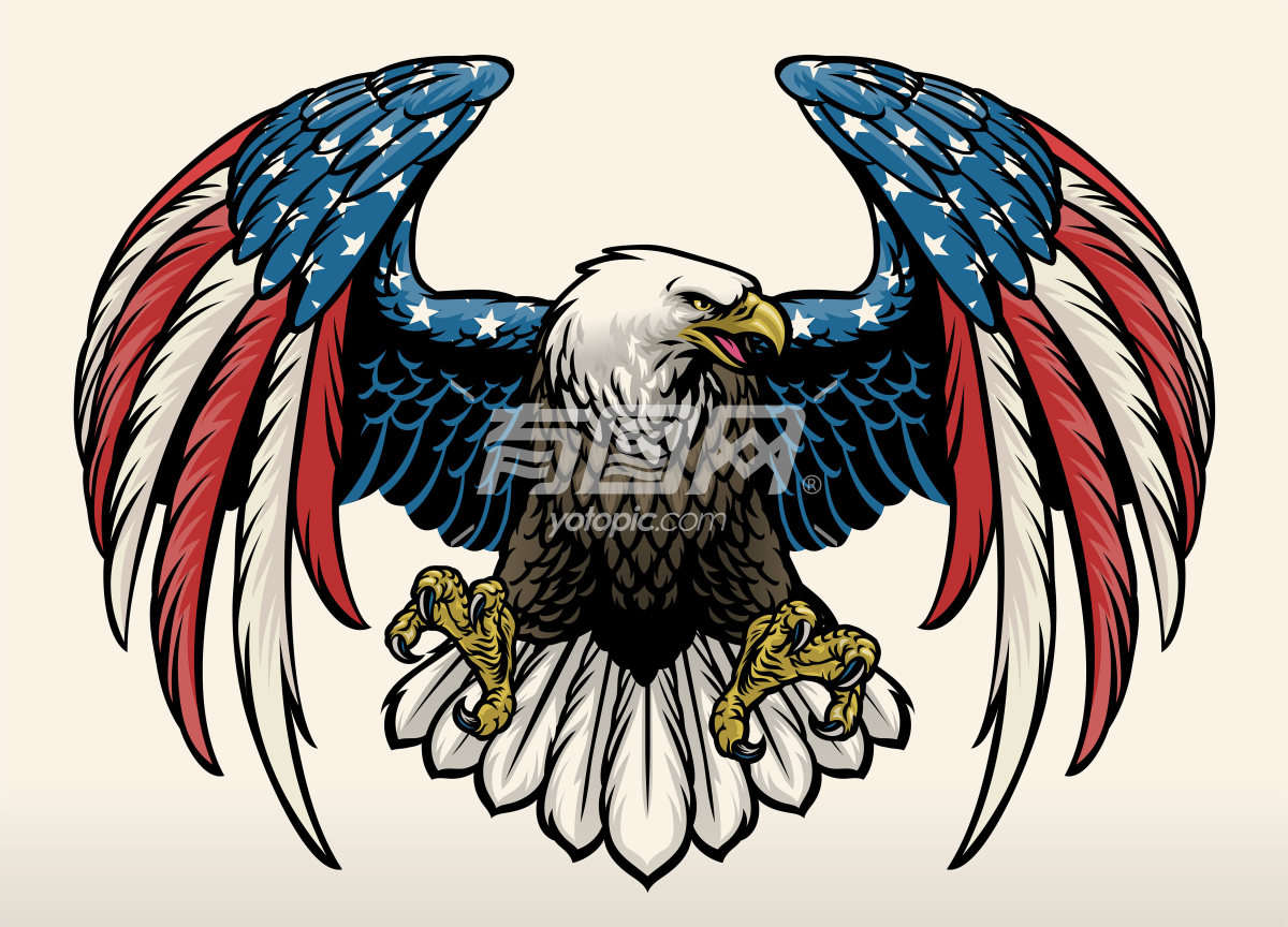 彩色插图的美国鹰